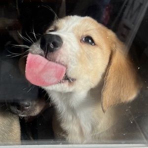 Meet your Posher, Malyn